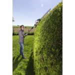 113613 AL-KO HTA 4045